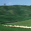 Crete Senesi, Tuscany ...